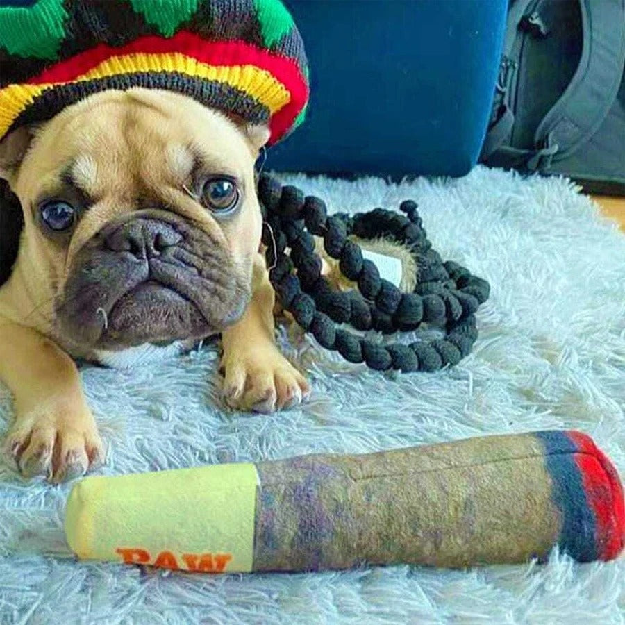 DOG TOY CIGAR
